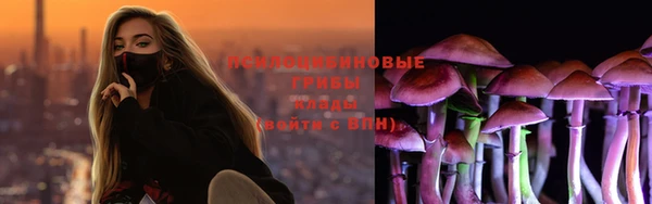 хмурый Елизово