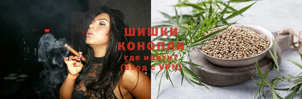 метамфетамин Ельня