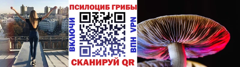 как найти закладки  Западная Двина  Галлюциногенные грибы прущие грибы 
